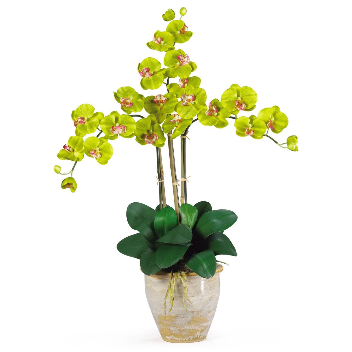 Triple Stem Phalaenopsis Silk Orchid Arrangement-Parc Decor
