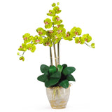 Triple Stem Phalaenopsis Silk Orchid Arrangement-Parc Decor