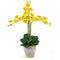 Triple Stem Phalaenopsis Silk Orchid Arrangement-Parc Decor