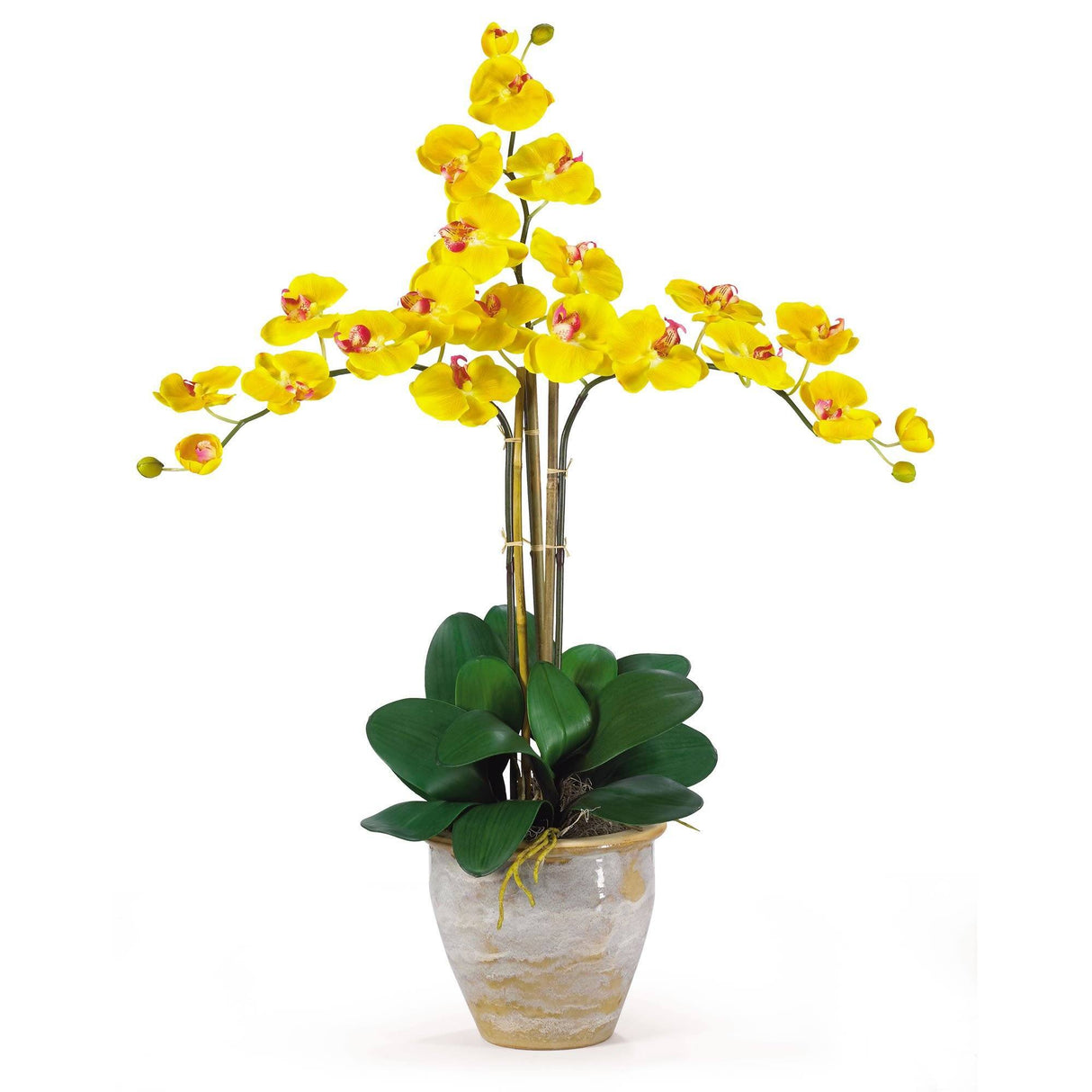 Triple Stem Phalaenopsis Silk Orchid Arrangement-Parc Decor