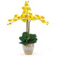 Triple Stem Phalaenopsis Silk Orchid Arrangement-Parc Decor