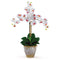 Triple Stem Phalaenopsis Silk Orchid Arrangement-Parc Decor