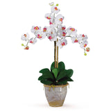 Triple Stem Phalaenopsis Silk Orchid Arrangement-Parc Decor