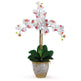 Triple Stem Phalaenopsis Silk Orchid Arrangement-Parc Decor