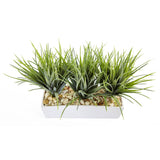 Vanilla Grass in Rectangular Planter-Parc Decor