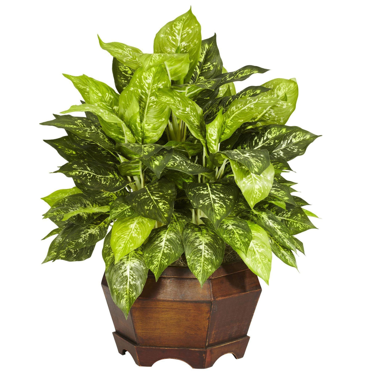 Variegated Dieffenbachia w/Large Hexagon Silk Plant-Parc Decor