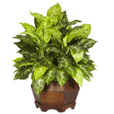 Variegated Dieffenbachia w/Large Hexagon Silk Plant-Parc Decor