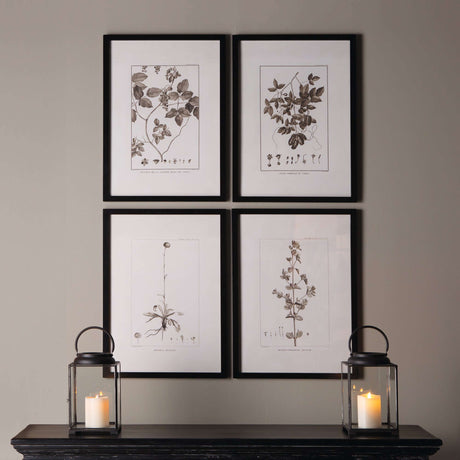 Vintage Monochromatic Botanical Herb Wall Art (Set of 4)-Parc Decor