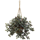 Wandering Jew Hanging Basket-Parc Decor