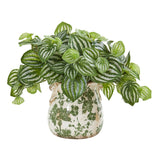 Watermelon Peperomia Artificial Plant in Vase (Real Touch)-Parc Decor