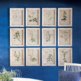 Antique Botanical Flower Prints in Distressed White Frames (Set of 12)-Artwork-Parc Decor