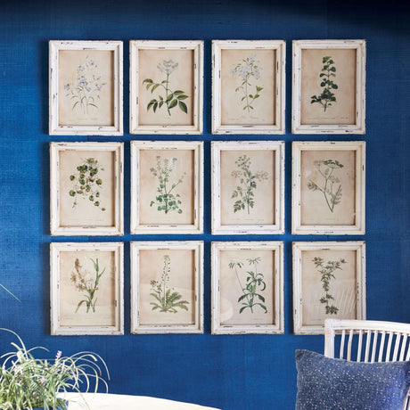 Antique Botanical Flower Prints in Distressed White Frames (Set of 12)-Artwork-Parc Decor