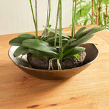 Antique Brass Decorative Bowl with Organic Rim-Bowl-Parc Decor