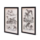 Antique Dog Art Prints in Black Wood Frames (Set of 2)-Wall Art-Parc Decor