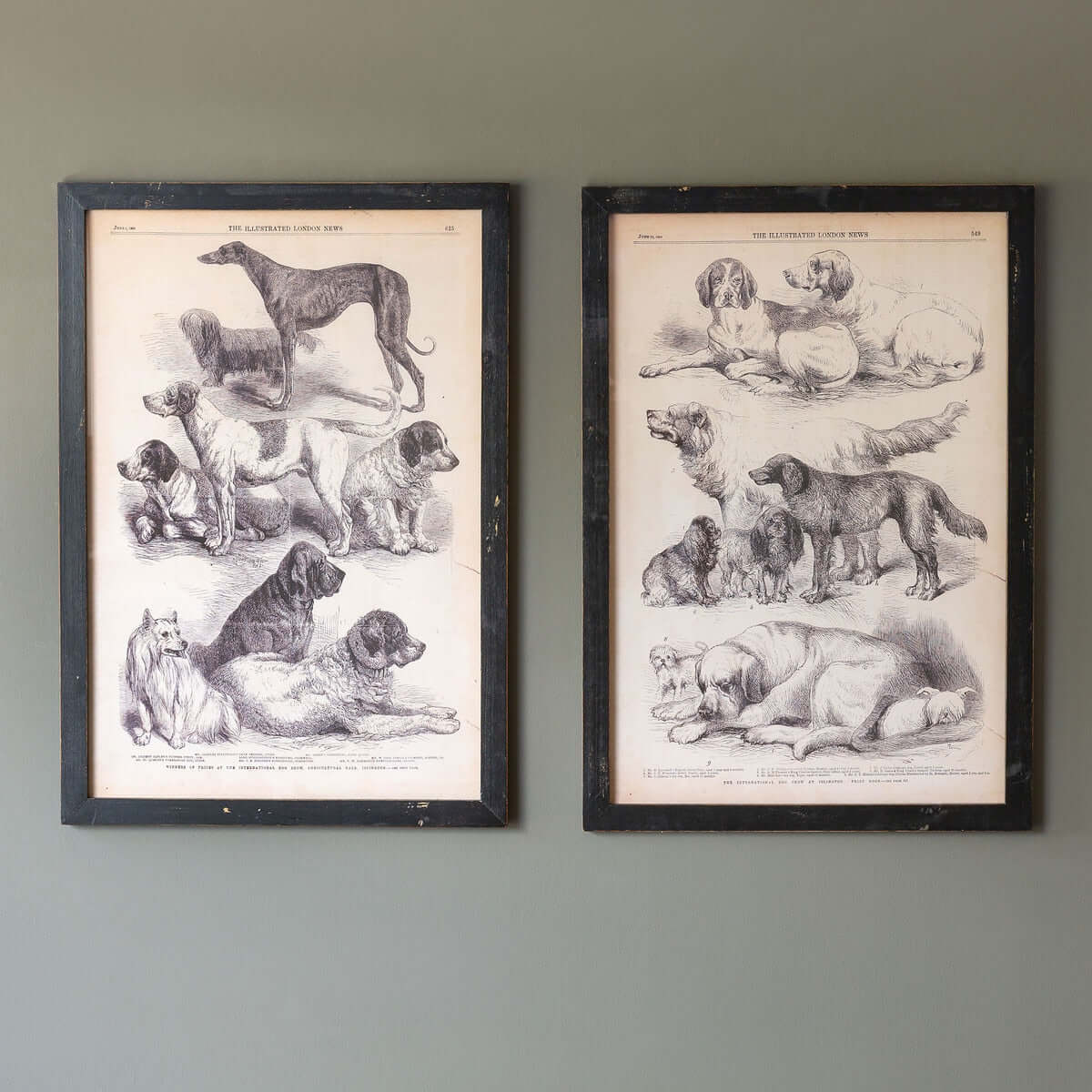Antique Dog Art Prints in Black Wood Frames (Set of 2)-Wall Art-Parc Decor