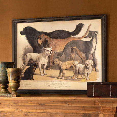 Antique Dog Breed Print in Black Frame-Wall Art-Parc Decor