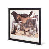 Antique Dog Breed Print in Black Frame-Wall Art-Parc Decor