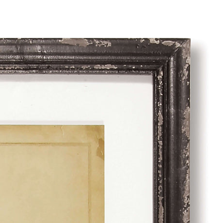 Antique Framed Botanical Fern Prints (Set of 8)-Artwork-Parc Decor