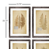 Antique Framed Botanical Fern Prints (Set of 8)-Artwork-Parc Decor