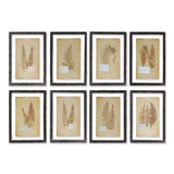 Antique Framed Botanical Fern Prints (Set of 8)-Artwork-Parc Decor