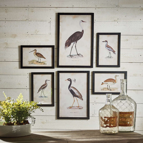Antique Framed Ornithology Bird Prints (Set of 6)-Artwork-Parc Decor
