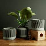 BAMBOO Planter Set-Planter-Parc Decor