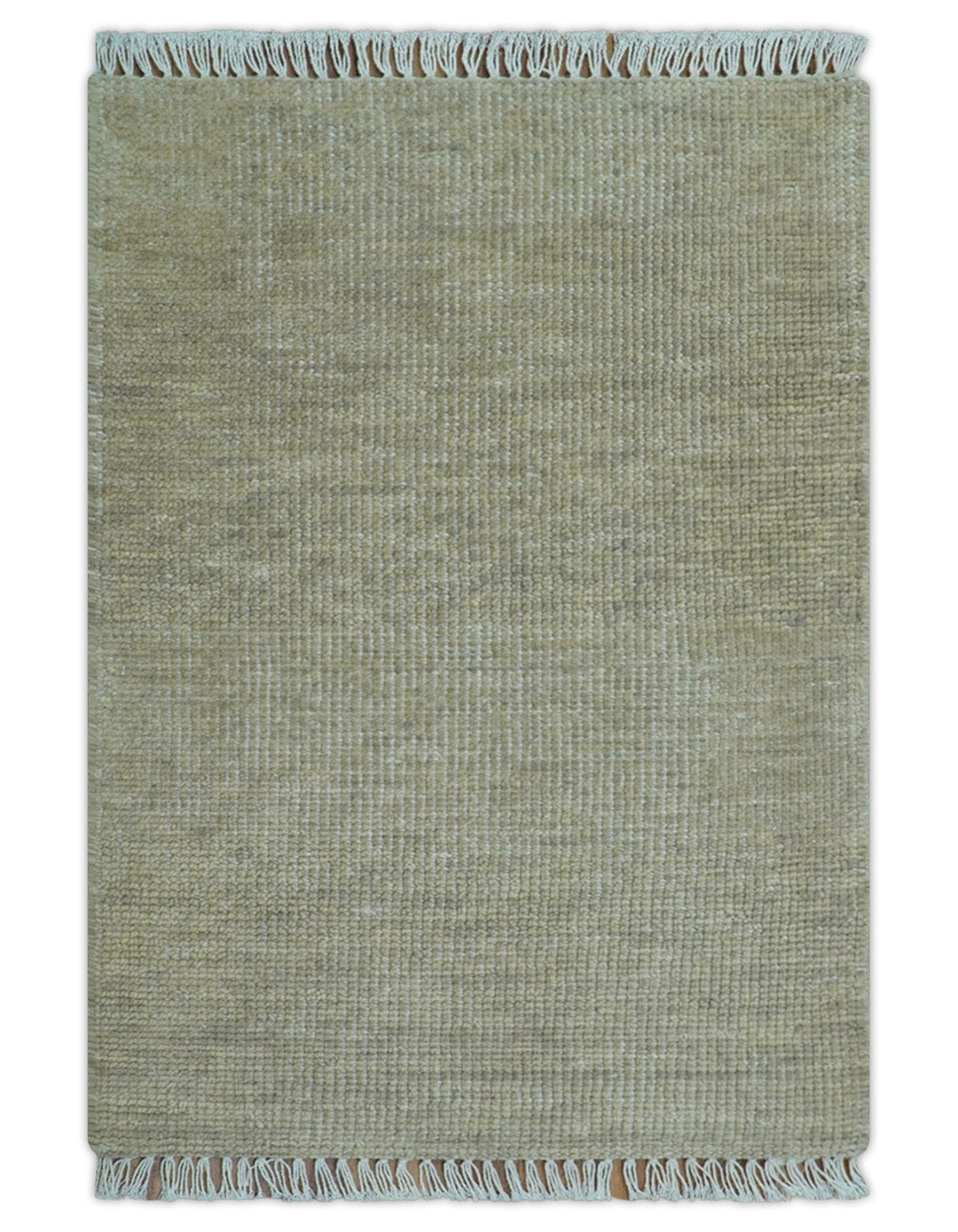Beige Modern Solid Design Hand Knotted Wool Area Rug