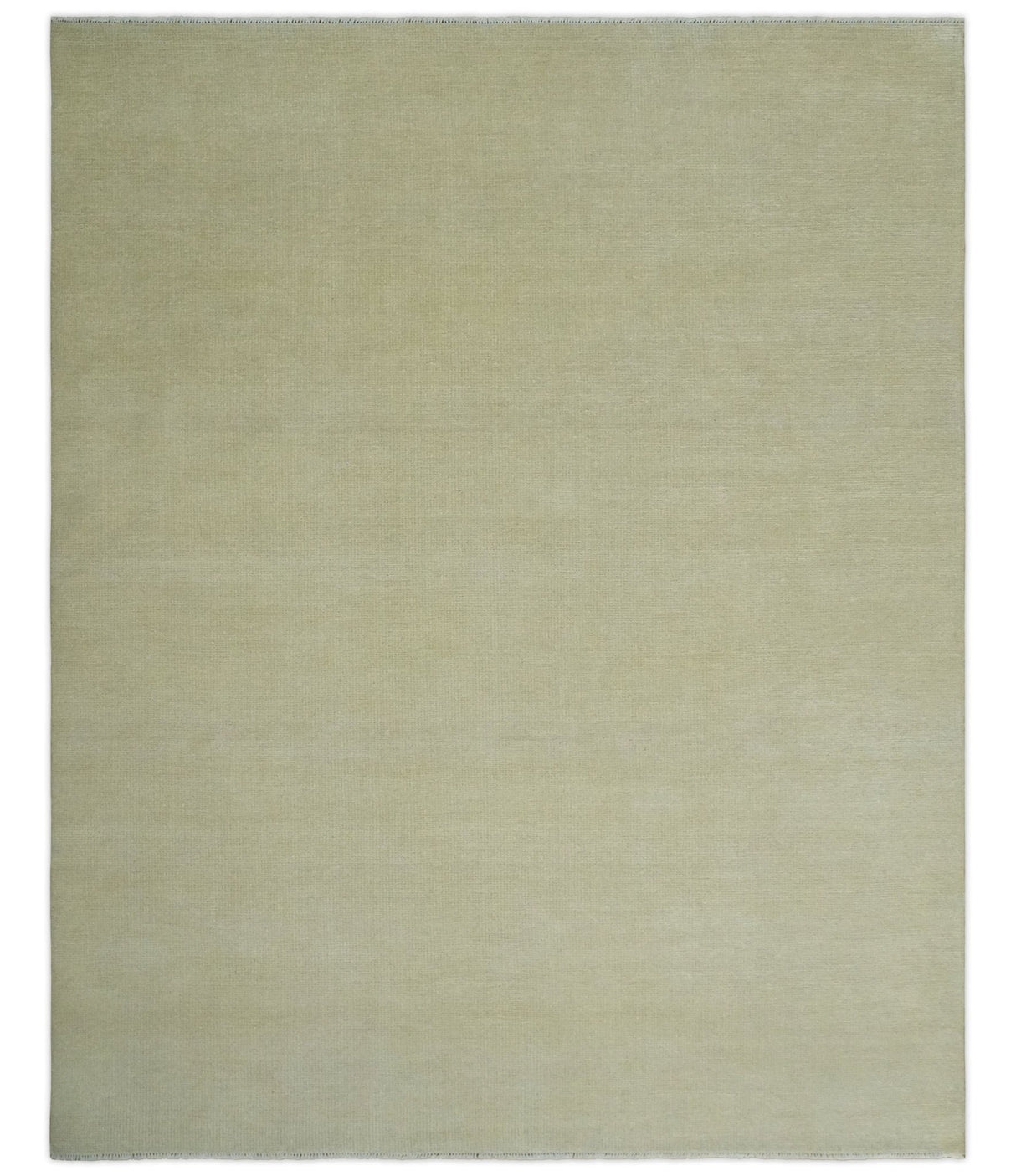 Beige Modern Solid Hand knotted 8x10 wool Area Rug