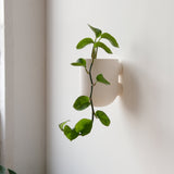 Bender Wall Planter