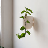 Bender Wall Planter-Pots & Planters-Parc Decor
