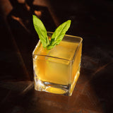 Braque Crystal Rocks Glasses-product_type::stemless_cocktail_glasses-Parc Decor