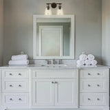 Brilliance Modern Farmhouse 2-Light Vanity Light