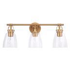 Brilliance Modern Farmhouse 3-Light Vanity Light