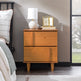Bronx Modern Solid Wood Nightstand-Bedroom-Parc Decor