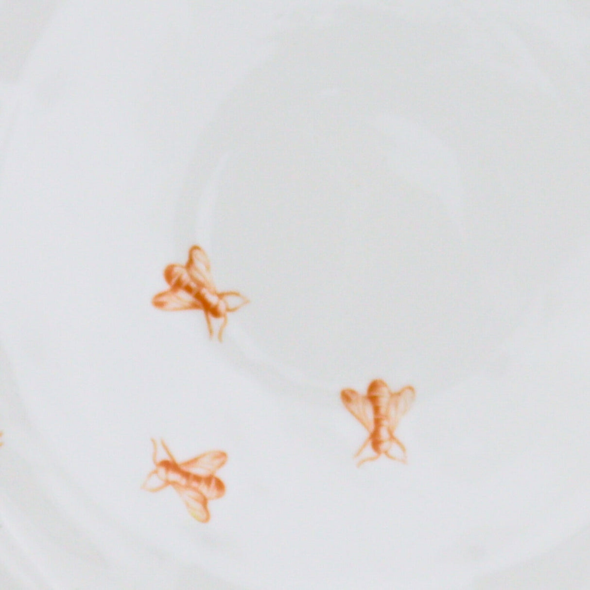 Bumble Voyage Scalloped Dinner Plate - Set of 4 (+1 Bonus Plate)-Dinner Plate-Parc Decor