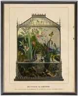Butterfly Vivarium Vintage Bookplate Print in Black Frame-Art-Parc Decor