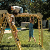 Chestnut | Foldable Jungle Gym