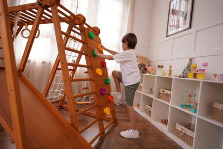 Chestnut | Foldable Jungle Gym