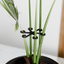 Climbing Plant Stem Support Stakes