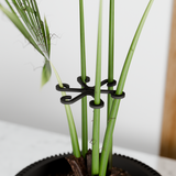 Climbing Plant Stem Support Stakes-Accessory-Parc Decor