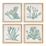 Coastal Framed Coral Silhouette Prints in Natural Wood Frames (Set of 4)-artwork-Parc Decor