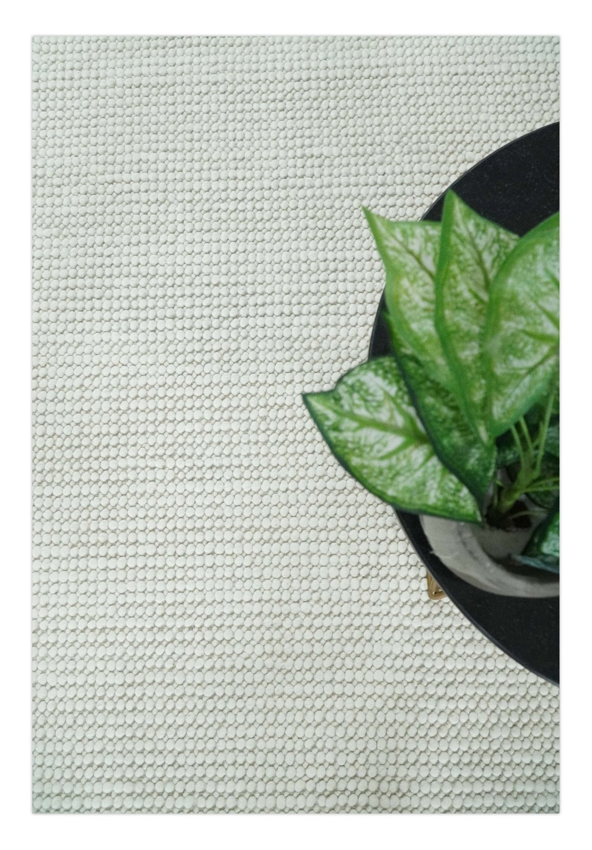 Contemporary Solid Design Ivory Handwoven Wool Area Rug