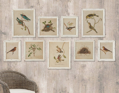 Cottagecore Bird Illustration and Nest Art Collection (Set of 9)-Artwork-Parc Decor