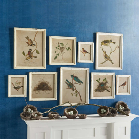 Cottagecore Bird Illustration and Nest Art Collection (Set of 9)-Artwork-Parc Decor