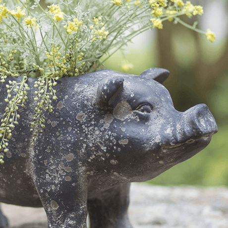 Cottagecore Rustic Pig Planter-Planter-Parc Decor