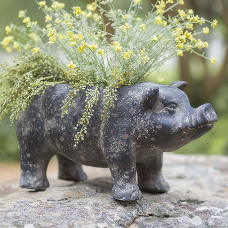 Cottagecore Rustic Pig Planter-Planter-Parc Decor