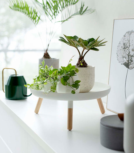 Countertop Pedestal Tray (5" H) - Steel + Wood