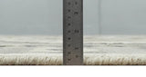 Custom Made Natural Wool Hand Knotted Ivory, Beige and Charcoal Traditional Area Rug, Kids, Living Room and Bedroom Rug