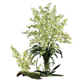 Dancing Lady (Set of 12)-Stem-Parc Decor