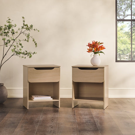 Domm Modern 1-Drawer Nightstand